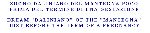 Casella di testo: Sogno Daliniano del Mantegna poco prima del termine di una gestazioneDream "DALNIANO" Of the "MANTEGNA" Just before the Term Of A Pregnancy
